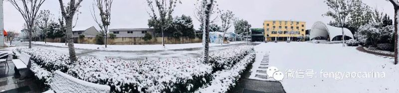 1517968175638232.jpg 1.jpg